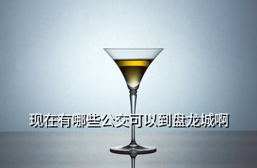 現(xiàn)在有哪些公交可以到盤龍城啊