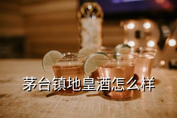 茅臺鎮(zhèn)地皇酒怎么樣
