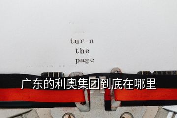廣東的利奧集團到底在哪里