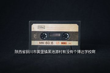 陜西省銅川市黃堡鎮(zhèn)黑池源村有沒有個博達(dá)學(xué)校啊