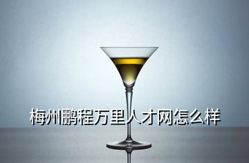 梅州鵬程萬(wàn)里人才網(wǎng)怎么樣