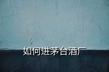 如何進(jìn)茅臺(tái)酒廠