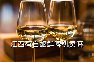 江西有自釀鮮啤機(jī)賣嘛