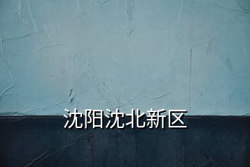 沈陽沈北新區(qū)