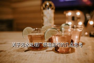 關(guān)于污水處理廠低溫運(yùn)行的幾點(diǎn)思考