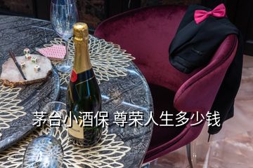 茅臺(tái)小酒保 尊榮人生多少錢(qián)
