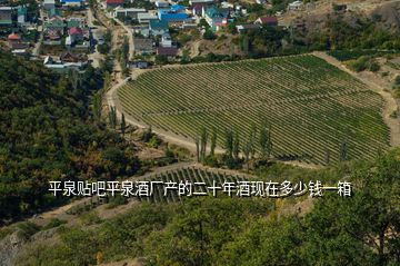 平泉貼吧平泉酒廠產的二十年酒現(xiàn)在多少錢一箱