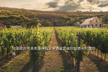 河南政府與商務(wù)接待指定用酒鑒賞級仰韶酒頭70度價格