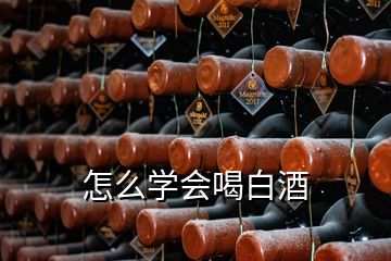 怎么學(xué)會喝白酒