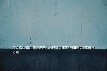 天之藍52度白酒今天不小心輕輕擰了下把扣環(huán)擰掉了但是沒有