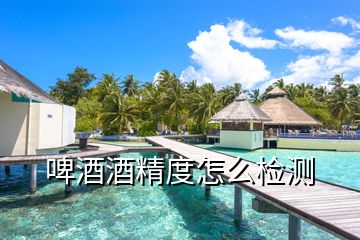 啤酒酒精度怎么檢測(cè)