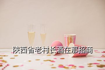 陜西省老村長酒在那招商