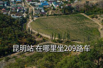 昆明站 在哪里坐209路車