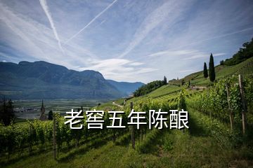 老窖五年陳釀