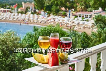 公司職員由董事長(zhǎng)任命還是總經(jīng)理任命