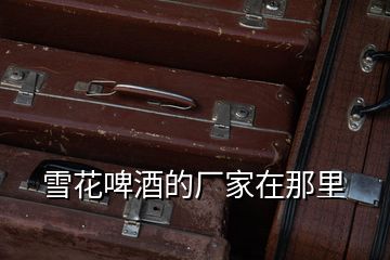 雪花啤酒的廠家在那里