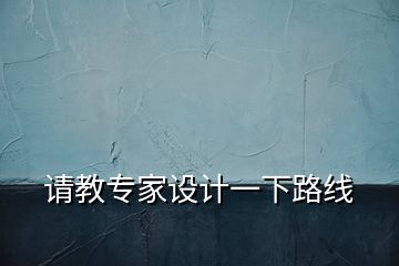 請教專家設(shè)計(jì)一下路線
