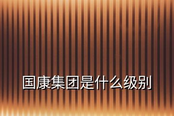 國康集團是什么級別