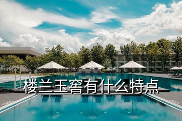 樓蘭玉窖有什么特點