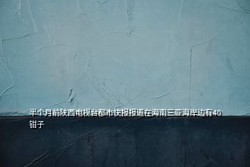 半個月前陜西電視臺都市快報報道在海南三亞海岸邊有40鉗子
