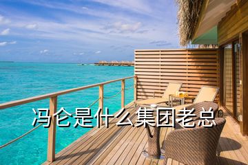 馮侖是什么集團老總