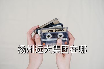 揚州遠大集團在哪