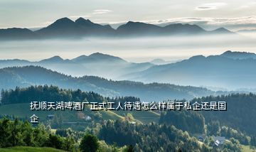 撫順天湖啤酒廠正式工人待遇怎么樣屬于私企還是國(guó)企