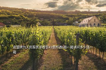 君盟牌為人民服務濃香型42度的酒6瓶一箱請問多少錢一箱