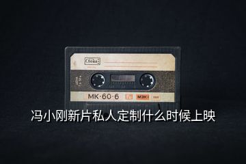 馮小剛新片私人定制什么時候上映