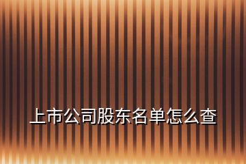 上市公司股東名單怎么查