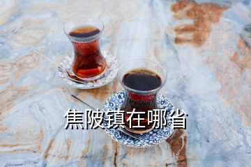 焦陂鎮(zhèn)在哪省