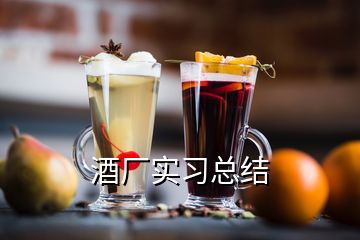 酒廠實習總結(jié)