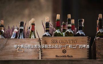 哪個(gè)青島朋友能告訴我怎么區(qū)分一廠和二廠的啤酒
