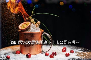 四川愛眾發(fā)展集團(tuán)旗下上市公司有哪些