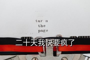 二十天我快要瘋了