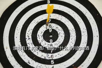 濮陽有幾家啤酒廠都生產(chǎn)什么系列的啤酒