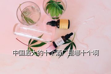 中國最大的十個酒廠是哪十個啊