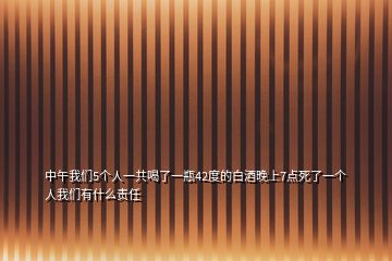 中午我們5個人一共喝了一瓶42度的白酒晚上7點死了一個人我們有什么責任
