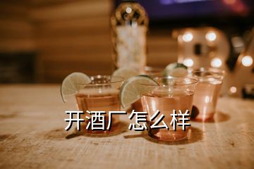 開酒廠怎么樣