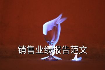銷售業(yè)績(jī)報(bào)告范文