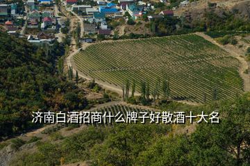 濟(jì)南白酒招商什么牌子好散酒十大名