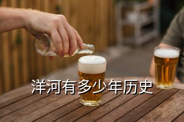 洋河有多少年歷史