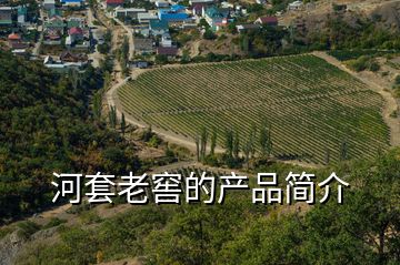 河套老窖的產(chǎn)品簡介