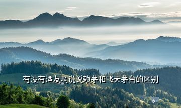 有沒有酒友啊說說賴茅和飛天茅臺(tái)的區(qū)別