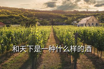 和天下是一種什么樣的酒