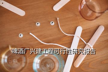 啤酒廠興建工程可行性研究報告