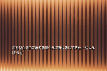 醬香型白酒的發(fā)展趨勢那個(gè)品牌有優(yōu)勢除了茅臺(tái) 一些大品牌 現(xiàn)在