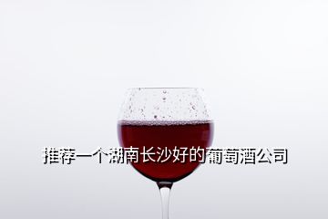 推薦一個湖南長沙好的葡萄酒公司