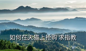 如何在天貓上搶購 求指教