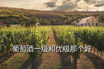 葡萄酒一級(jí)和優(yōu)級(jí)那個(gè)好